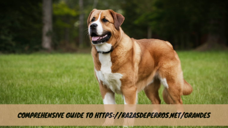 Comprehensive Guide to Https://razasdeperros.net/grandes